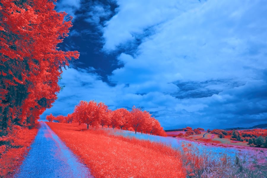 Photo color use in photography