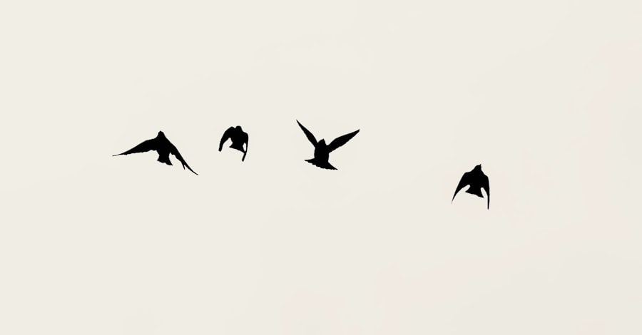 Photo minimalist photography
