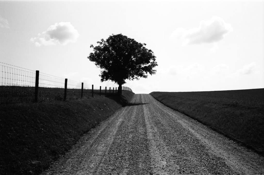 Photo High contrast