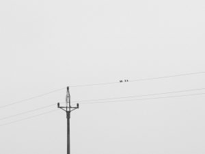 Photo minimalist photography